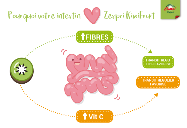 Comment améliorer votre santé intestinale à travers l'alimentation