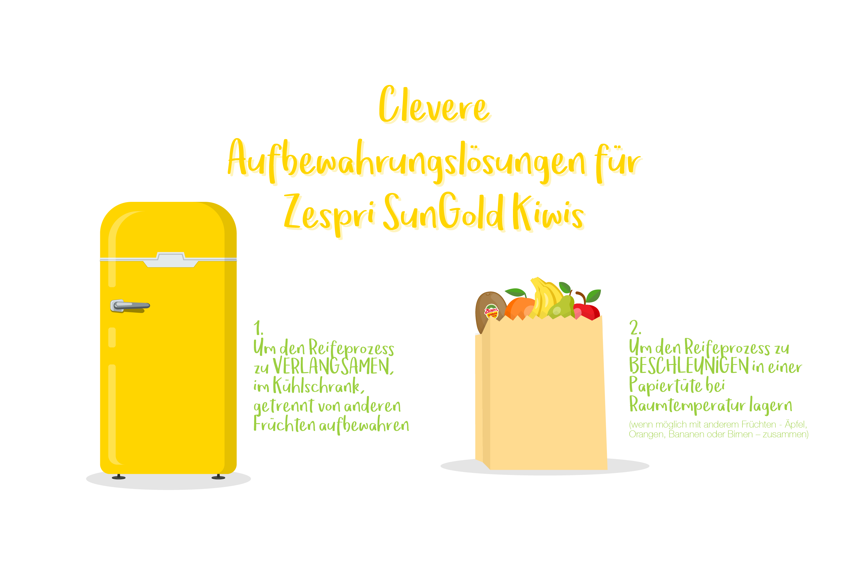 Sommer, Sonne und Lebensmittelaufbewahrung: So lagerst du Zespri SunGold Kiwis richtig!