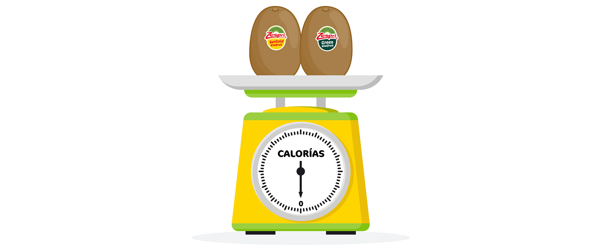 Cuántas Calorías Tiene Un Kiwi