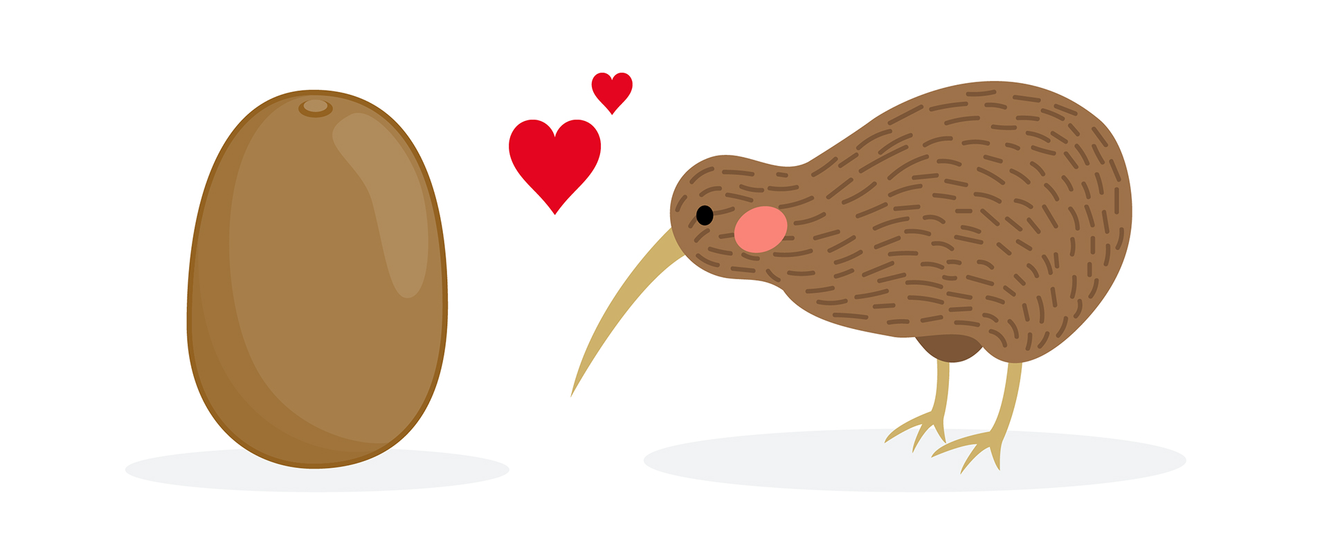 Cuál es el origen del kiwi? - Zespri Kiwifruit Spain Cuál es el origen del kiwi? - Zespri Kiwifruit Spain