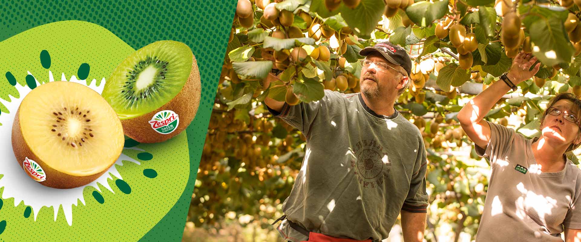 Chi siamo, cosa facciamo e perché: 4 notizie affascinanti su Zespri™