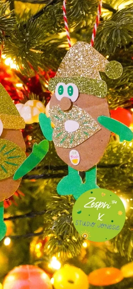 Un do it yourself pour un sapin vitaminé ! - Heather