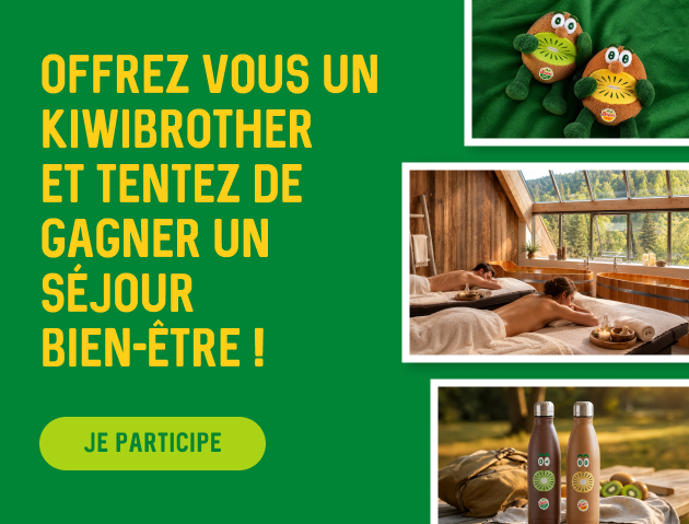 jeu kiwibrothers