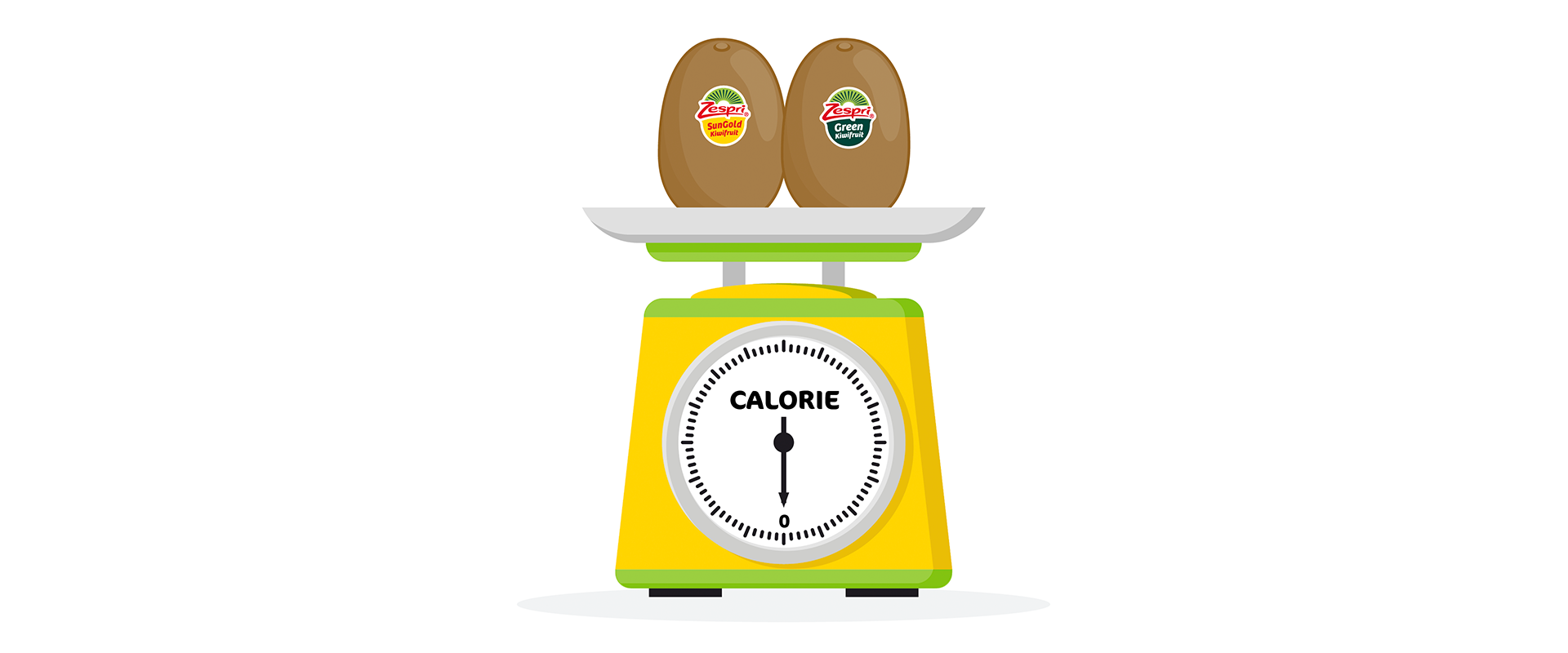Quante calorie contiene un kiwi?