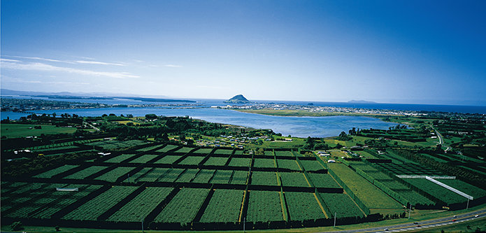 sustainability_01_desktop.jpg