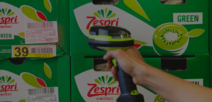 zespri-system_06_desktop.jpeg