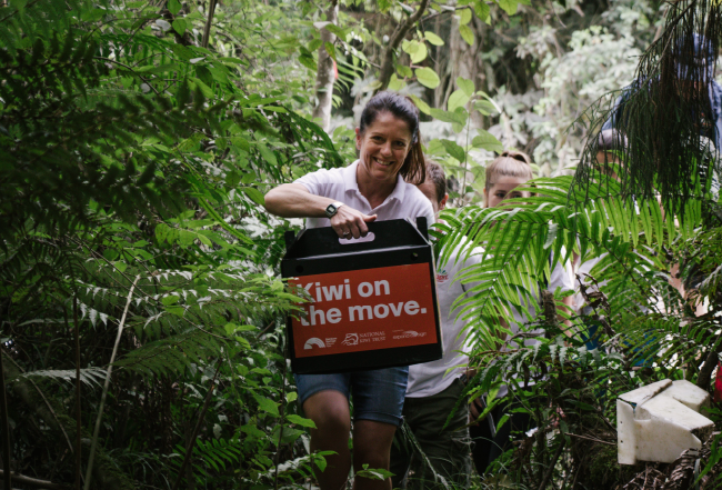 Zespri carrying kiwi in forest