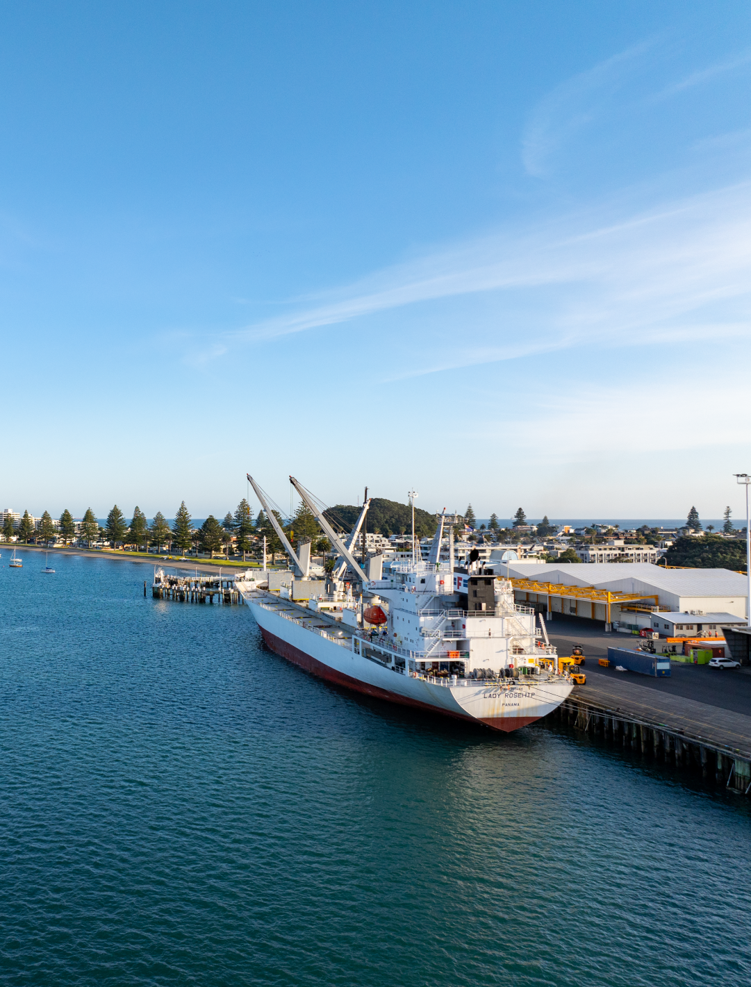 Zespri Kowhai ship