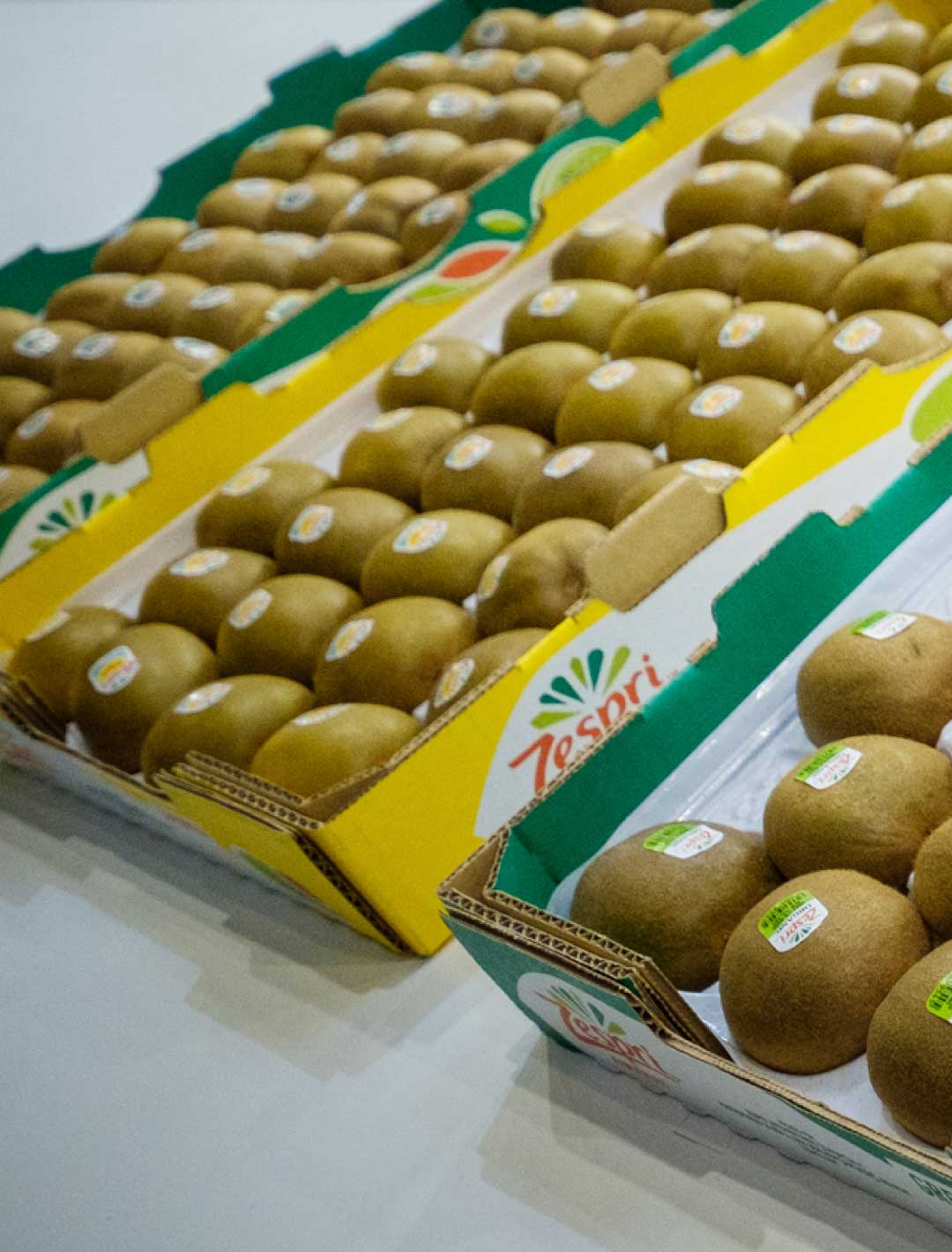 Fruit Logistica 2020 kiwifruit
