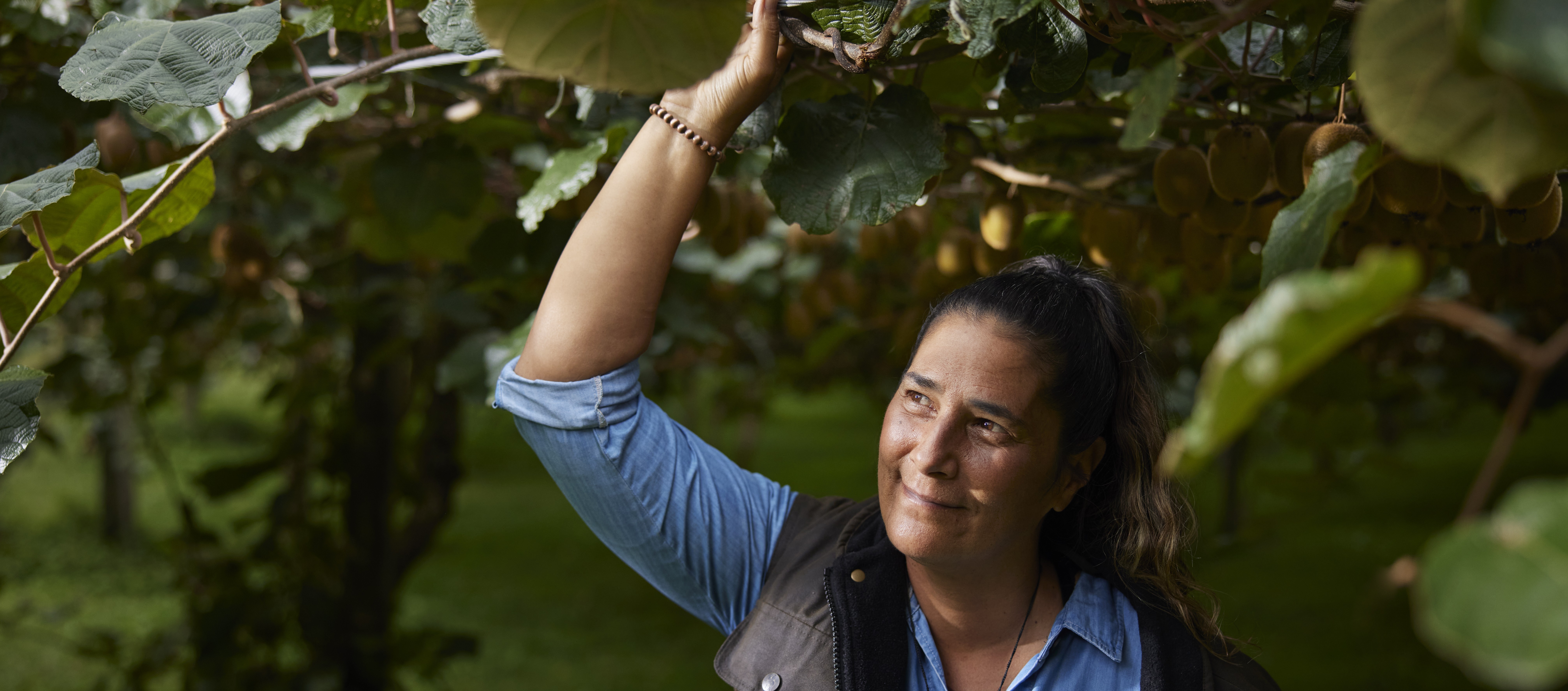 product-page-masthead