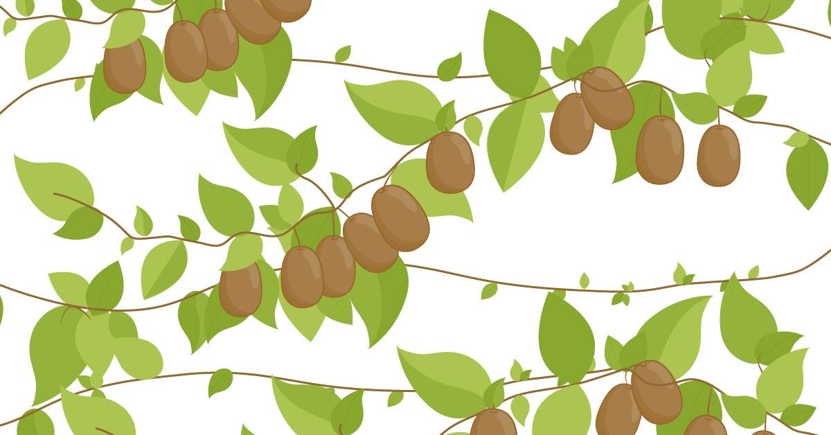 4 reasons to choose Zespri Organic kiwifruit