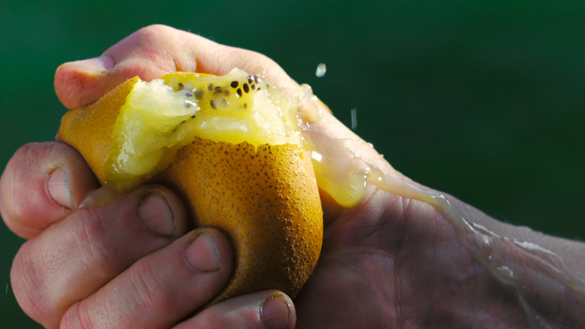 Mother feeding child with Zespri Kiwiffruit