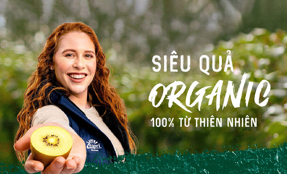 Kiwi Zespri Organic, quả ngọt từ những đôi tay đầy tâm huyết
