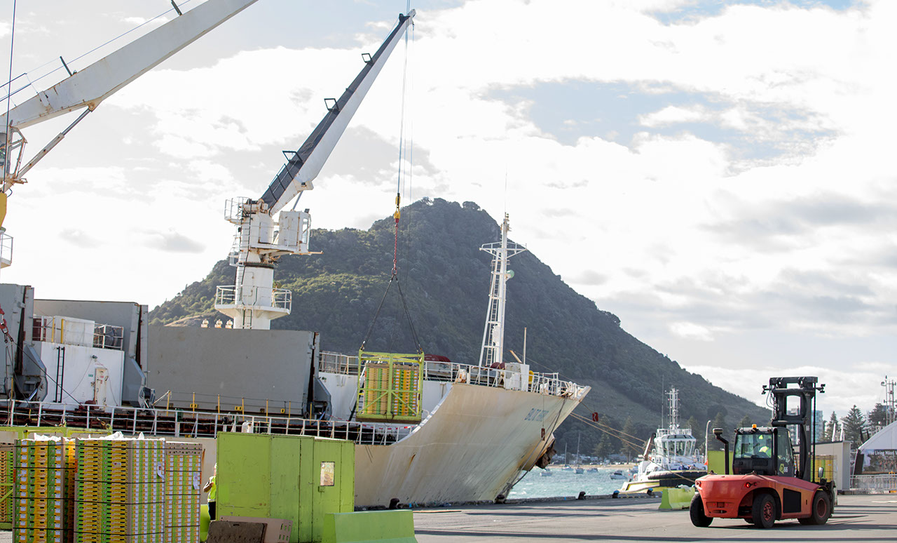 The first kiwifruit ship of the season, the Nassau-registered Baltic Pearl, gets set to depart Port of Tauranga for Tokyo.  Photo by Jamie Troughton/Dscribe Media