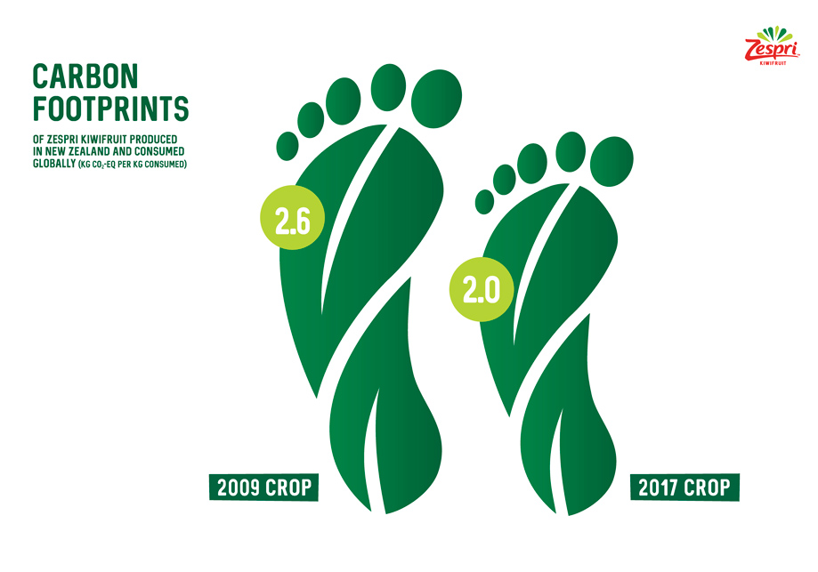 carbon and water footprint